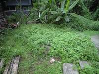 ビフォア 2008/10/24 17:22:35