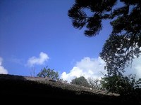 今日は夏です 2008/11/06 12:39:18