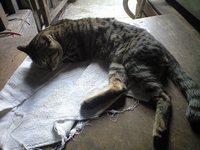 きょうはくもり 2008/11/07 12:45:56