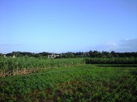 今日は 2008/11/13 07:49:59