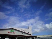 今日はいい天気 2008/11/15 10:59:22