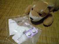 この子等を 2008/11/16 17:48:15