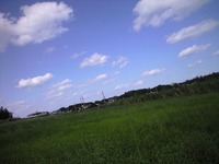 ちょいと 2008/11/20 11:48:12