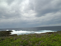残波波 2009/01/03 09:55:50