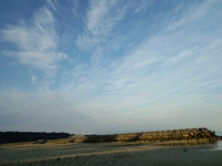 あさひ 2009/01/04 08:00:51