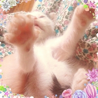 初☆お風呂。◯。。゜ 2012/09/10 01:05:48