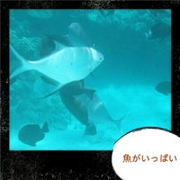 夢のグラスに 2012/09/11 06:42:00