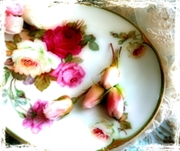 薔薇