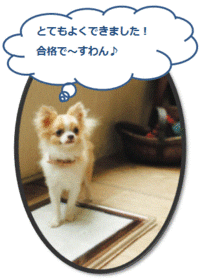 合格でしょ～☆