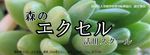 【さぁと】