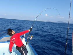 釣果報告