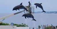寝ているのがもったいない 2010/09/25 07:45:54
