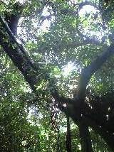 すっきりー 2010/07/10 09:11:23