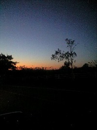 10月ですね〜♪ 2010/10/01 09:24:49