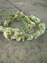 ♪公園日和♪ 2010/03/22 14:26:25