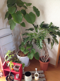 大掃除…⁈ 2012/09/30 13:44:44