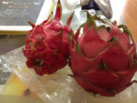 ☆レッドドラゴンフルーツ☆ 2012/08/06 15:23:51