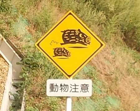 何やろ 動物注意