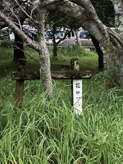 漫湖公園の清掃活動【上山中OB　2022年12月　1回目】