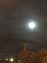 お月見 2018/09/25 15:54:42