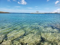僕らぬ海 2021/12/07 20:16:12