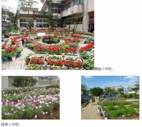 花いっぱい 2014/03/20 10:08:24
