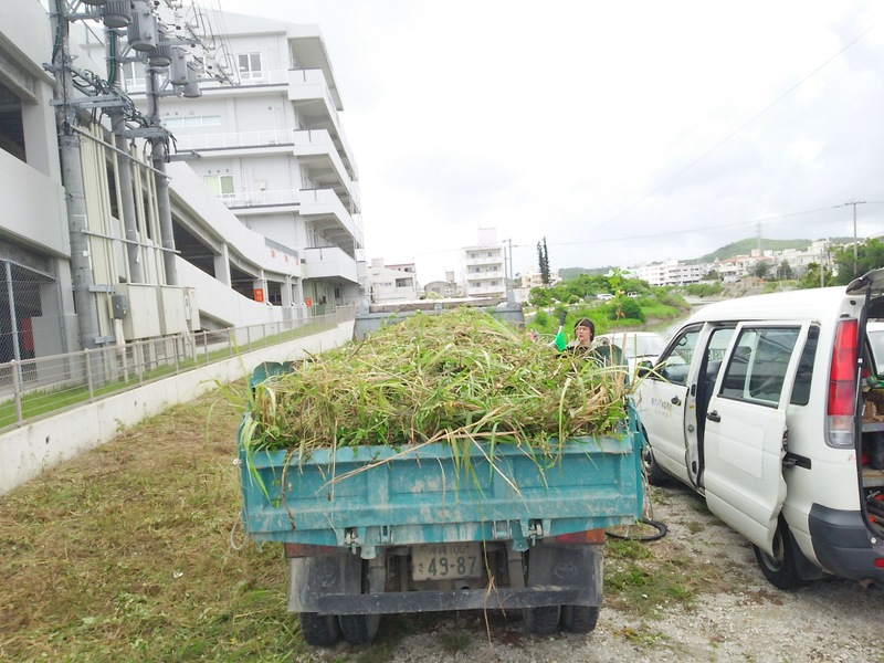 道路ふれあい清掃活動