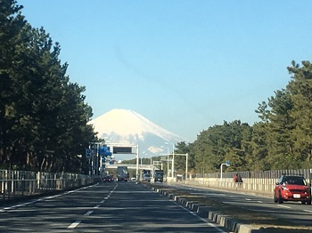 今年の都会