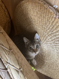 ちゅらちゃん、遊びに来てくれました
