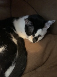 眠りのじゃま 2025/05/21 15:02:11