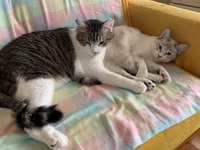 ルク＆ビー 2024/12/09 14:49:19