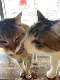 しずく＆ビー 2024/11/24 13:08:40