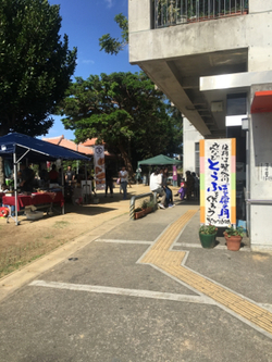 明日は那覇マラソン