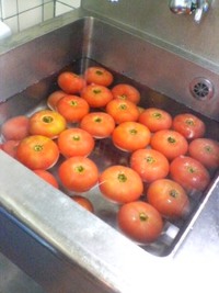 モスバーガー初出勤＼(^O^)／トマスラしもす♪ 2010/01/05 19:32:13
