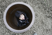 水瓶 2009/02/04 11:51:34