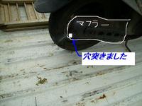 マフラーのつまり、ムシ、虫、大行進わ～い！