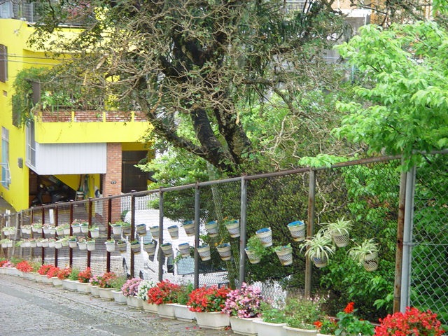 松川小学校の花