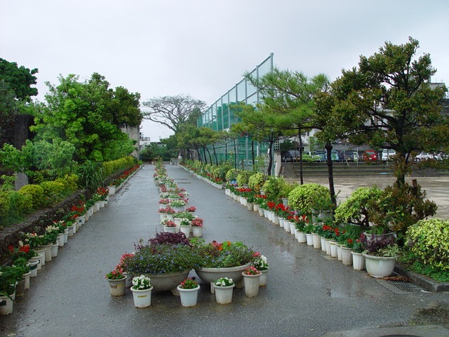 松川小学校の花