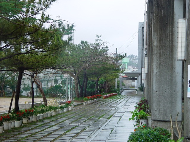 松川小学校の花