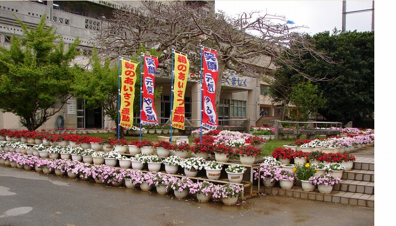 石田中学校の花