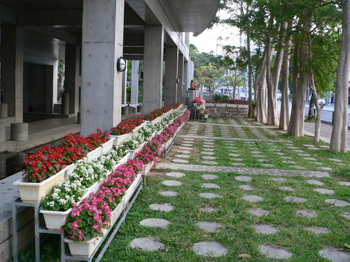 神原中学校の花