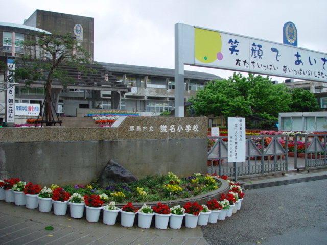 識名小学校の花