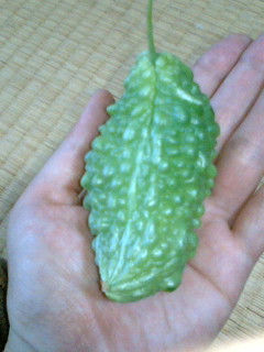 これだけ