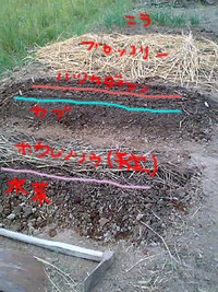 種まき 2007/09/29 17:57:04