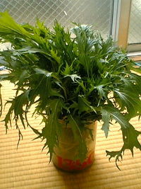 収穫！ 2007/11/29 09:18:14