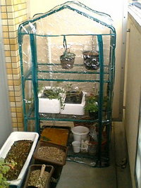 ベランダ改造 2007/11/29 09:22:39