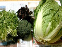 鍋だー！！ 2008/01/24 22:37:26