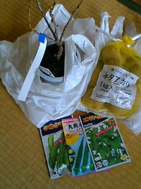 春の準備 2008/02/16 14:30:26