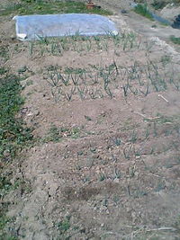 暖かい～♪ 2008/03/12 15:06:37