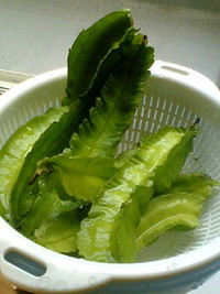 やっと収穫！ 2008/09/13 11:06:00